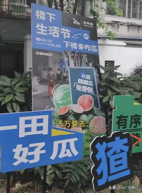 吃瓜网红打卡地,揭秘吃瓜群众的潮流聚集地